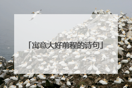 寓意大好前程的诗句