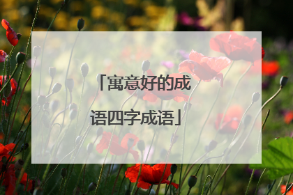 寓意好的成语四字成语