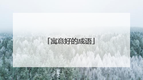 寓意好的成语