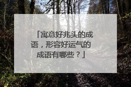 寓意好兆头的成语，形容好运气的成语有哪些？
