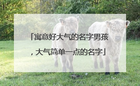 寓意好大气的名字男孩，大气简单一点的名字