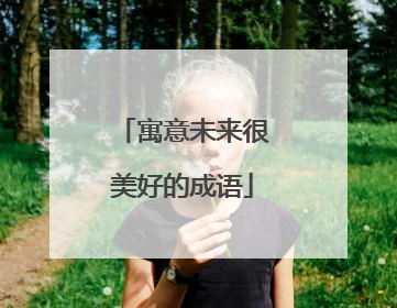寓意未来很美好的成语