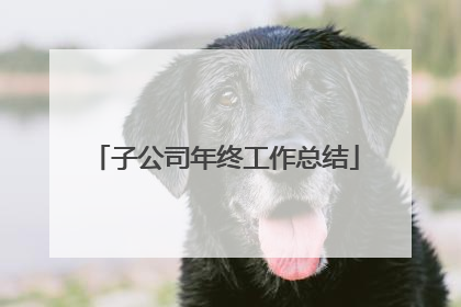 子公司年终工作总结