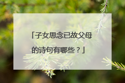 子女思念已故父母的诗句有哪些？