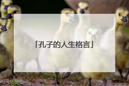 孔子的人生格言