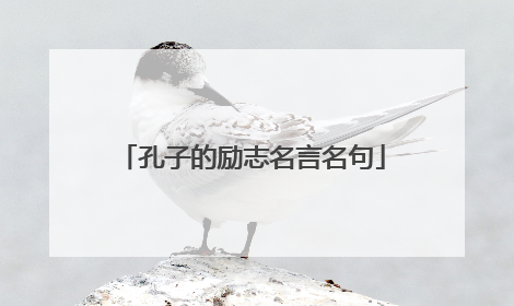 孔子的励志名言名句