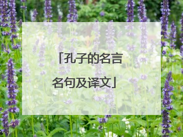 孔子的名言名句及译文