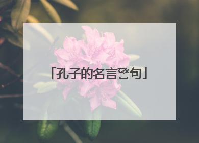 孔子的名言警句