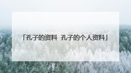 孔子的资料 孔子的个人资料