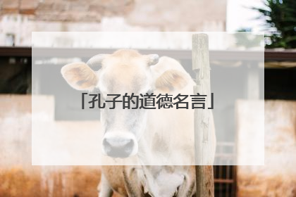 孔子的道德名言