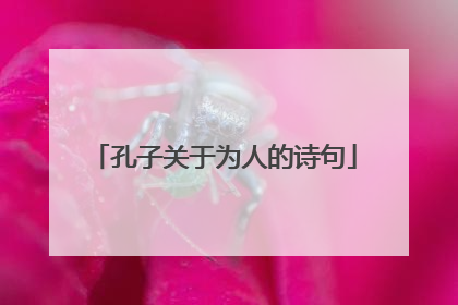 孔子关于为人的诗句