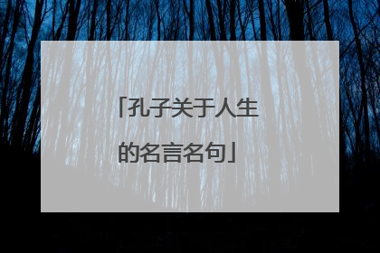 孔子关于人生的名言名句