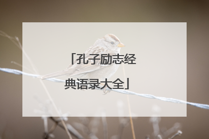 孔子励志经典语录大全