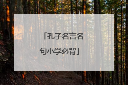 孔子名言名句小学必背