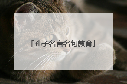 孔子名言名句教育