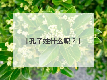 孔子姓什么呢?