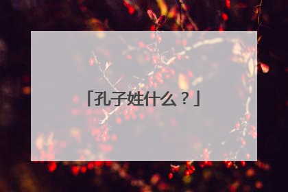 孔子姓什么?