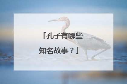 孔子有哪些知名故事？