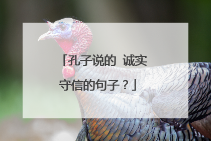 孔子说的 诚实守信的句子？