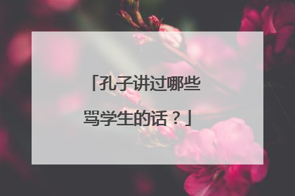 孔子讲过哪些骂学生的话？