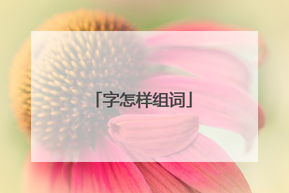 字怎样组词