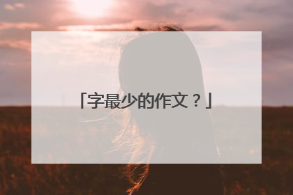 字最少的作文?
