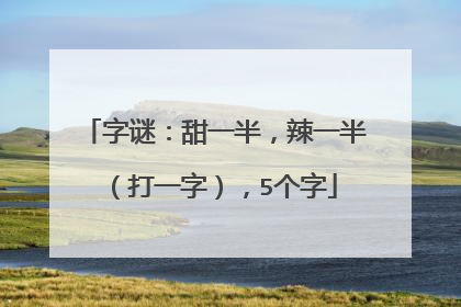 字谜：甜一半，辣一半（打一字），5个字