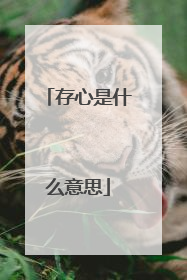 存心是什么意思