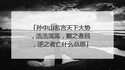 孙中山名言天下大势，浩浩荡荡，顺之者昌，逆之者亡什么意思