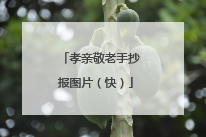 孝亲敬老手抄报图片(快)