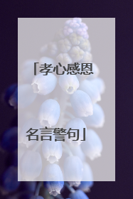 孝心感恩名言警句