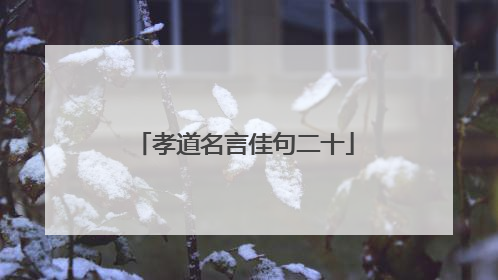 孝道名言佳句二十