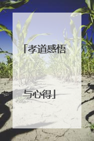 孝道感悟与心得