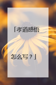 孝道感悟怎么写？