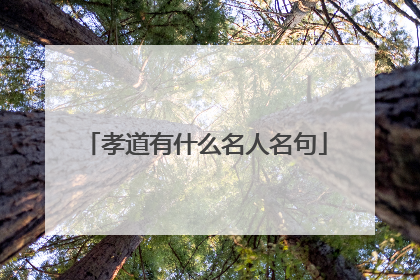 孝道有什么名人名句