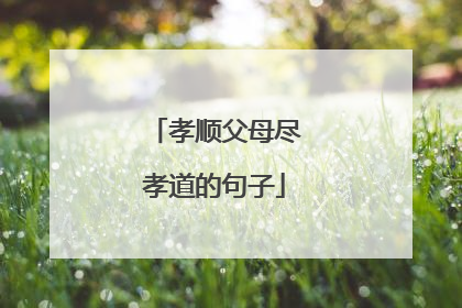 孝顺父母尽孝道的句子