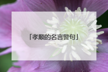 孝顺的名言警句