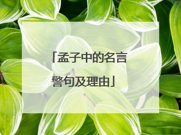 孟子中的名言警句及理由
