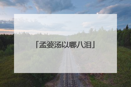 孟婆汤以哪八泪