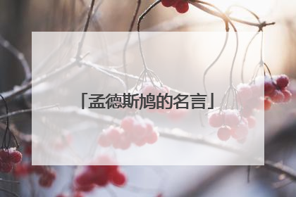 孟德斯鸠的名言