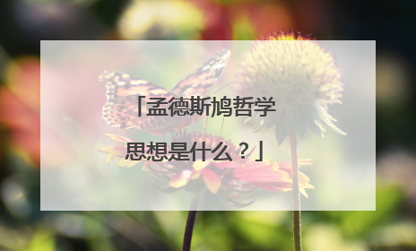 孟德斯鸠哲学思想是什么?