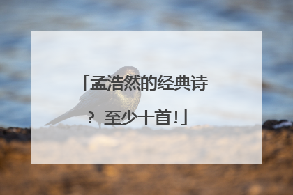 孟浩然的经典诗? 至少十首!