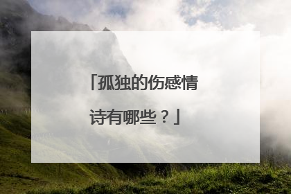孤独的伤感情诗有哪些？