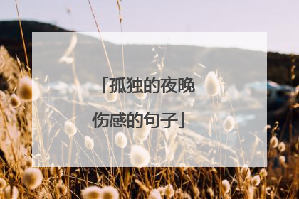 孤独的夜晚伤感的句子