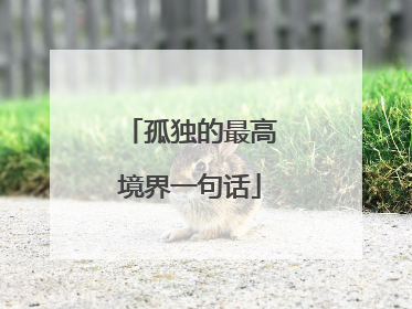 孤独的最高境界一句话