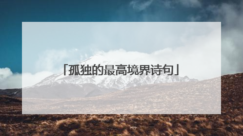 孤独的最高境界诗句