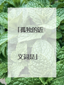 孤独的近义词是