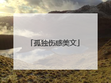 孤独伤感美文