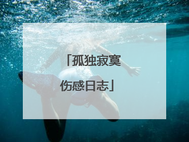 孤独寂寞伤感日志