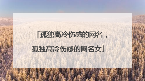 孤独高冷伤感的网名,孤独高冷伤感的网名女